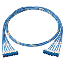 QN JACKS TO JACKS CABLE ASMBLY