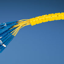 1 1/2" PanWrap 100 Ft/Rl - Yellow 1 1/2" PanWrap 100 Ft/Rl - Yellow